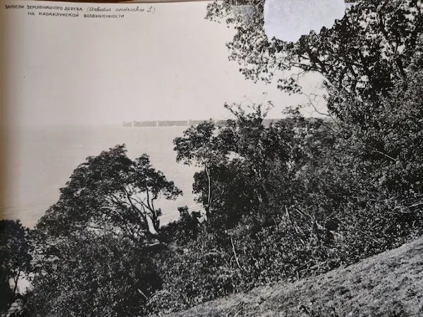 Историческое фото 1