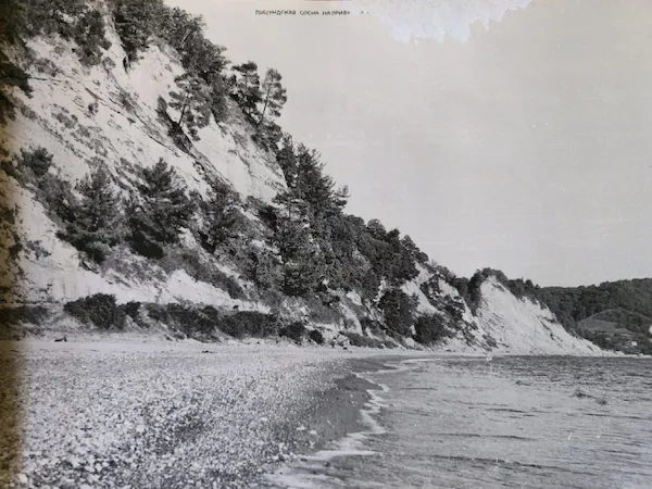 Историческое фото 2