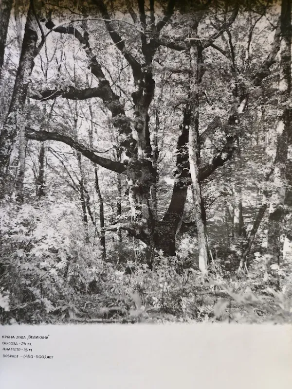 Историческое фото 3