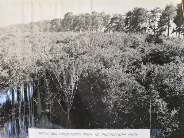 Историческое фото 4