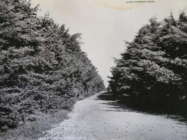 Историческое фото 6