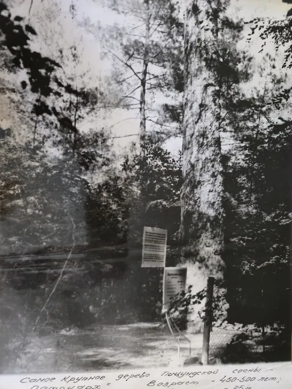 Историческое фото 10