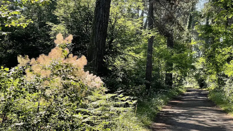 Правила поведения в заповеднике